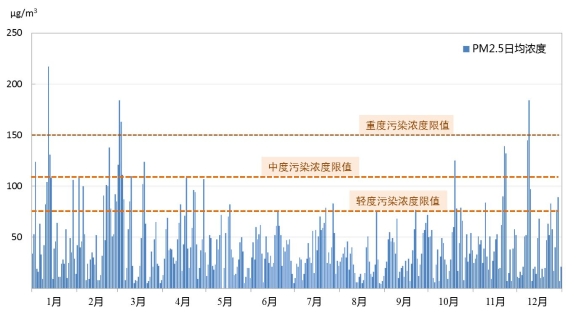 图片9