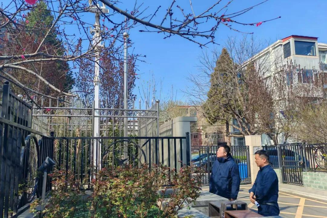 图片4 图片4